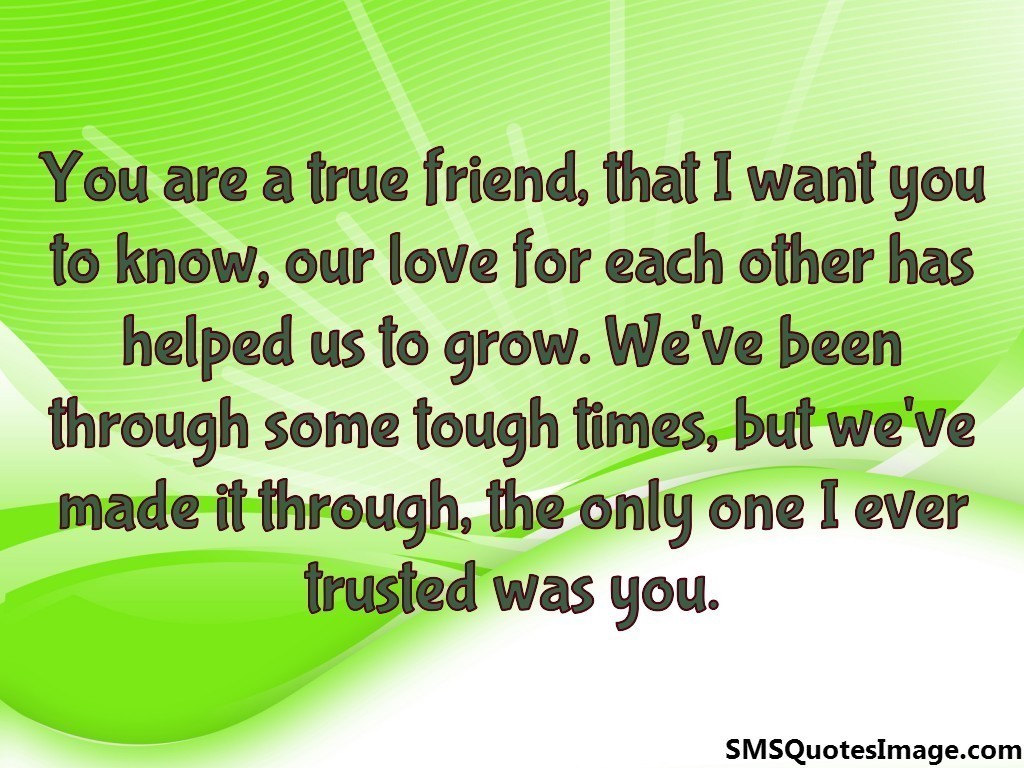 You are a true friend - Friendship - SMS Quotes Image