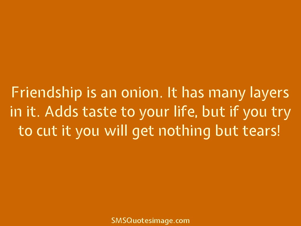 Friendship Friendship is an onion