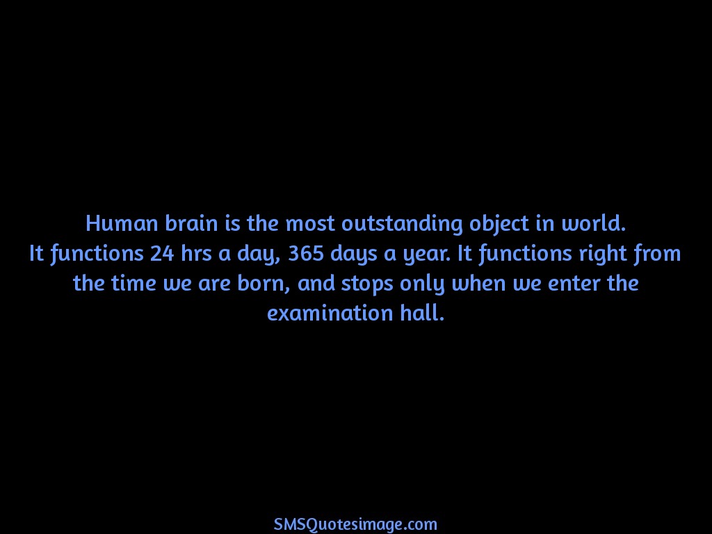 Funny Human brain is the most 