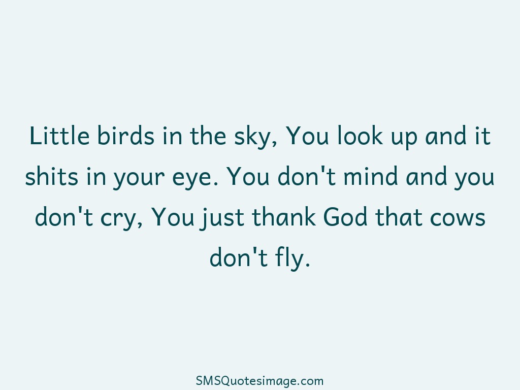 Funny Little birds in the sky