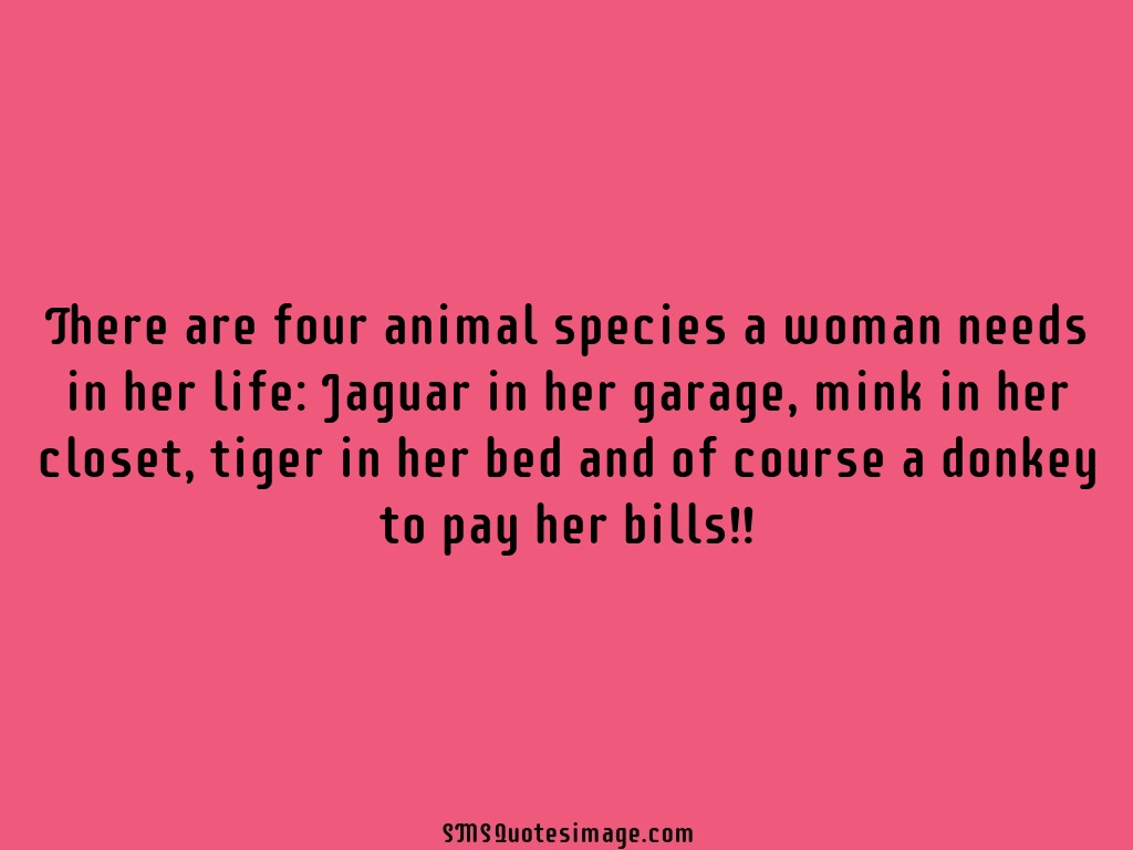 Funny There are four animal species