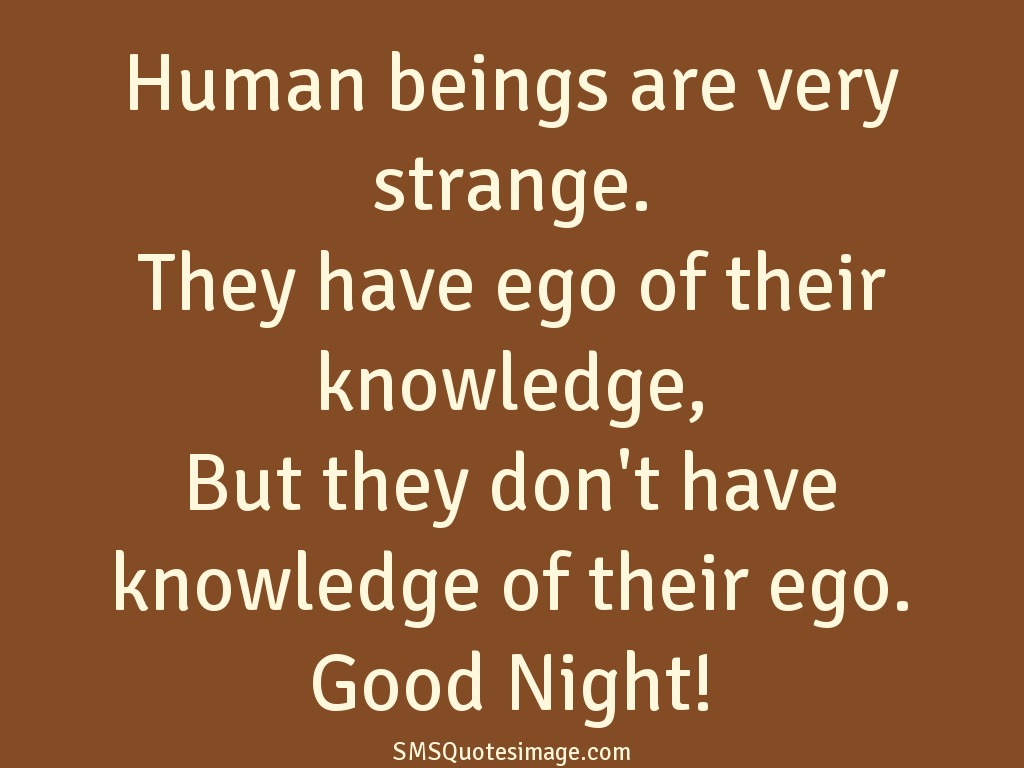 Good Night Human beings are very strange