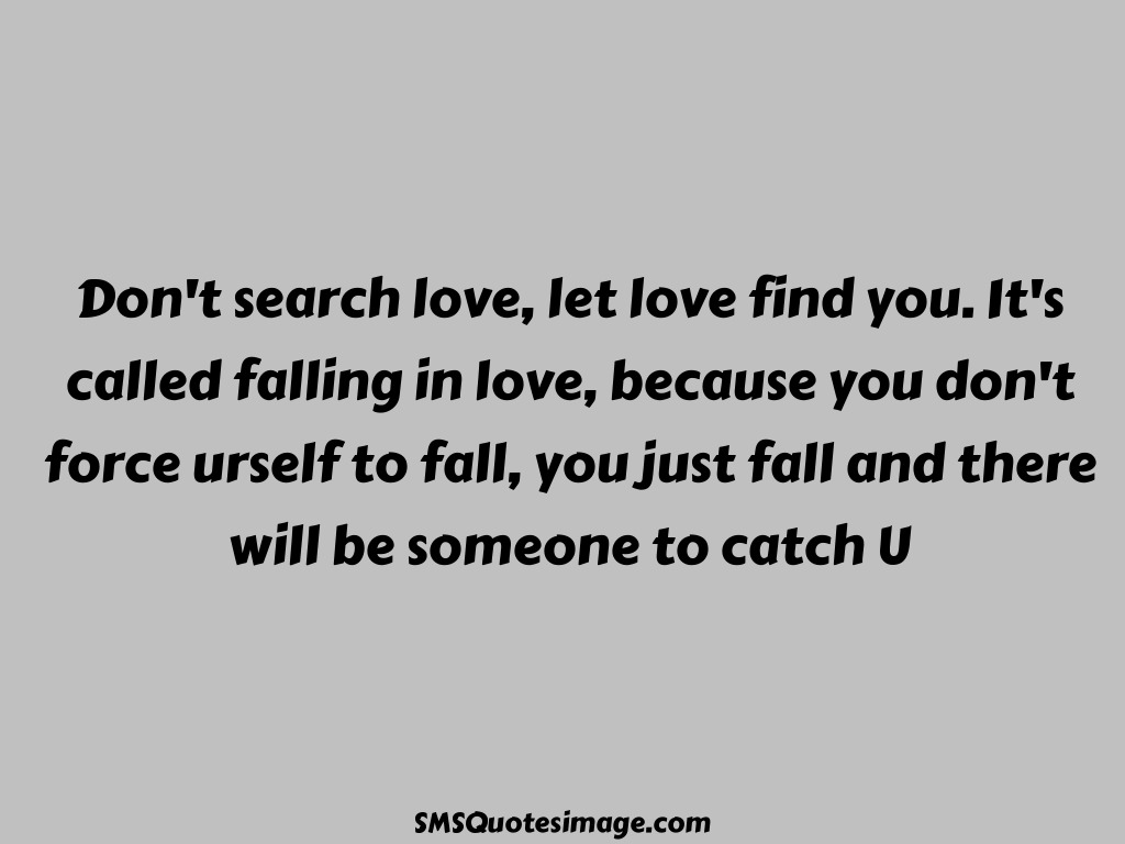 Love Don't search love