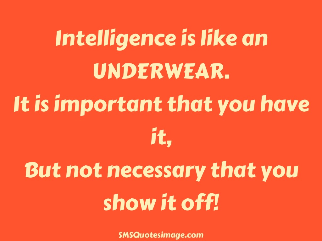 Wise Intelligence is like an UNDERWEAR