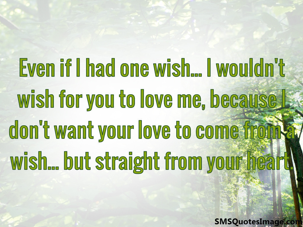 Even if I had one wish