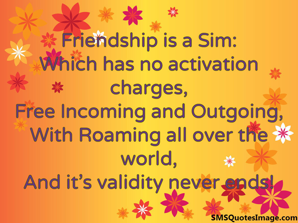 Friendship is a Sim