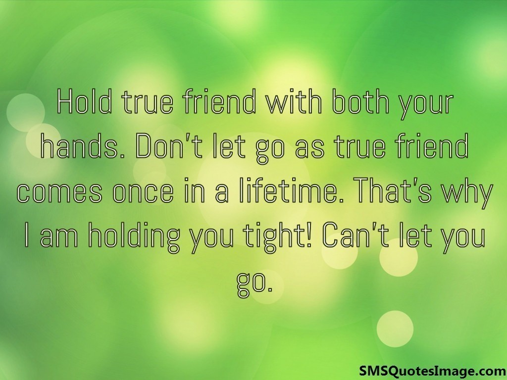 Hold true friend with