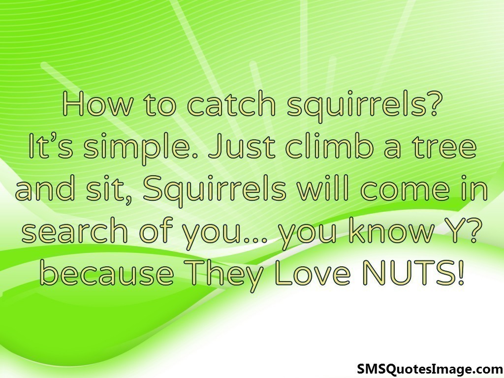 How to catch squirrels