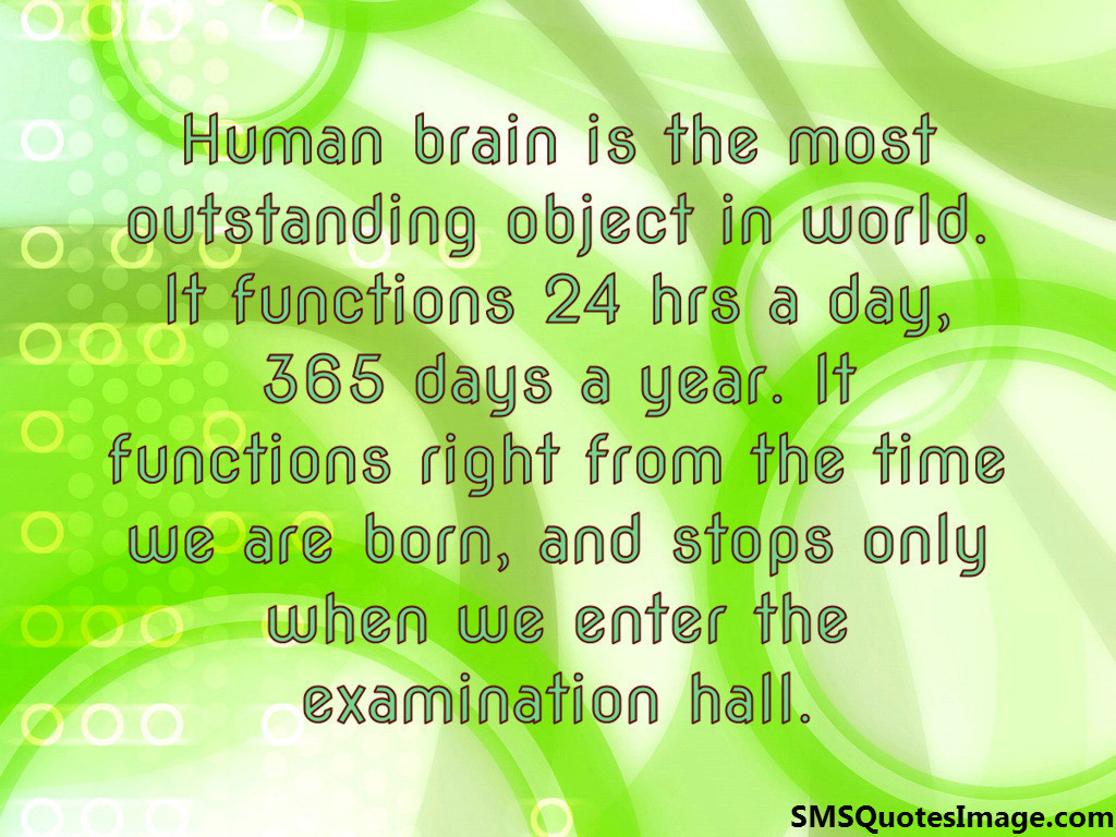 Human brain is the most 