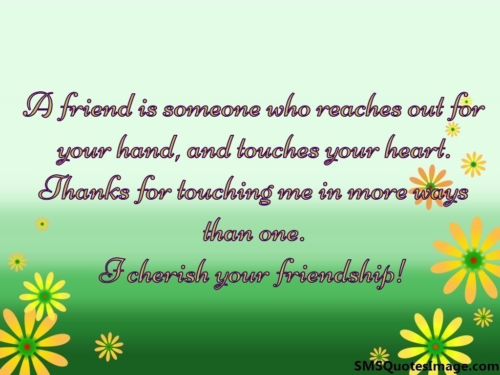I cherish your friendship