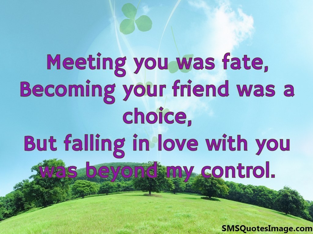 Meeting you was fate