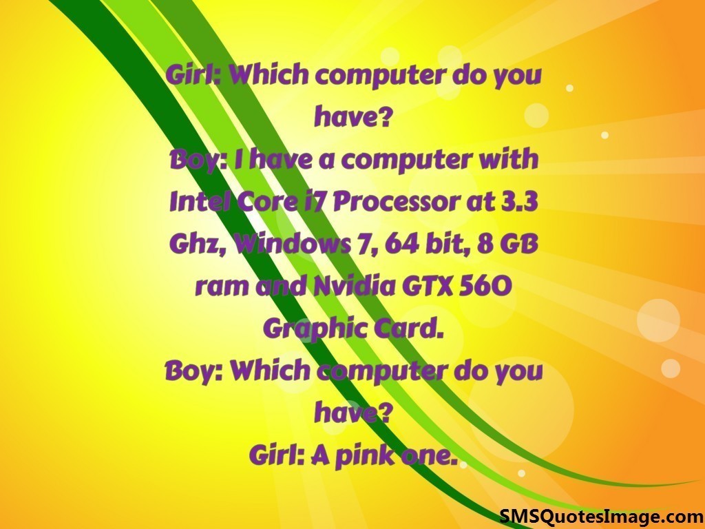 Which computer do you have